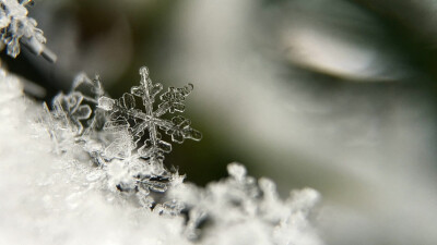 雪花主题高清动态壁纸