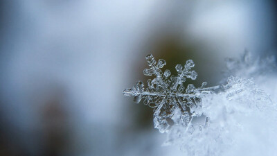 雪花主题高清动态壁纸