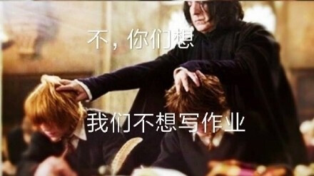 哈利波特表情包
wb@猪猪饺子要蘸醋