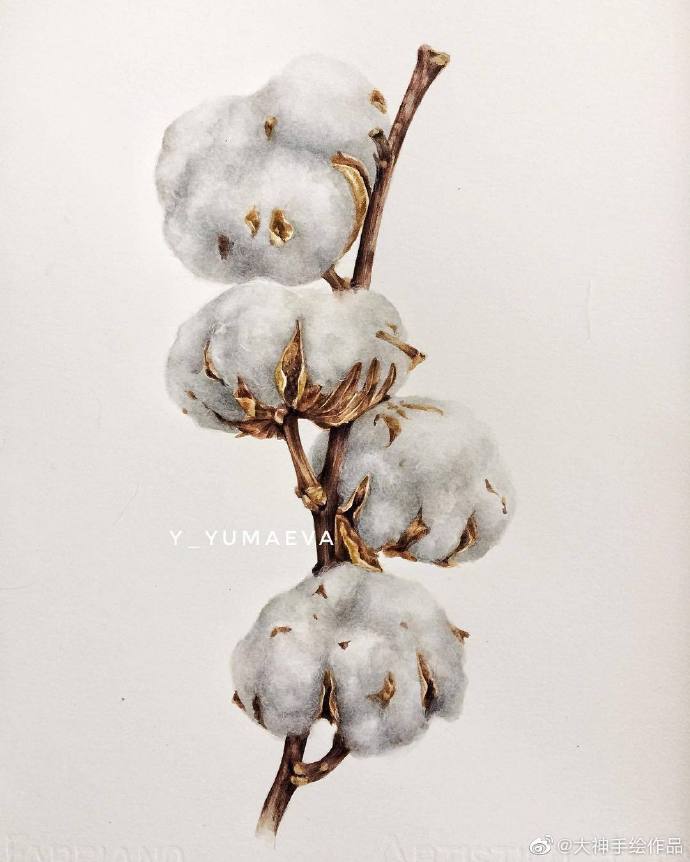 水彩花卉系列～ by.y_yumaeva