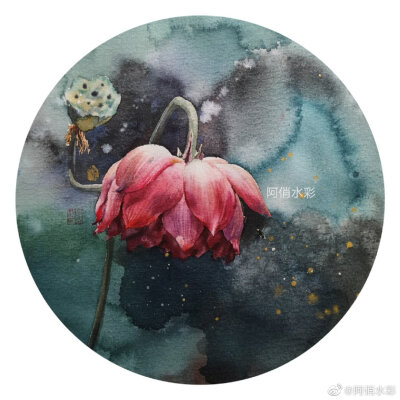 水彩花卉，图片来自阿俏老师