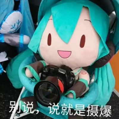 初音fufu表情包 玫瑰云雾