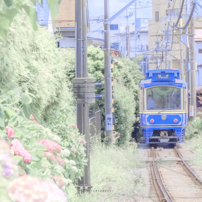 
► ▻ 夏日的蔷薇花园 就像莫奈打翻的调色盘