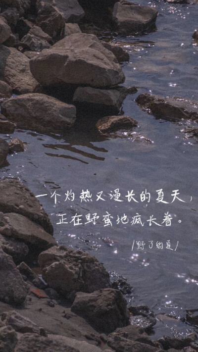 王源文字壁纸
夏野了