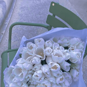       『Jessica  krysal的日常vlog』*by江星允