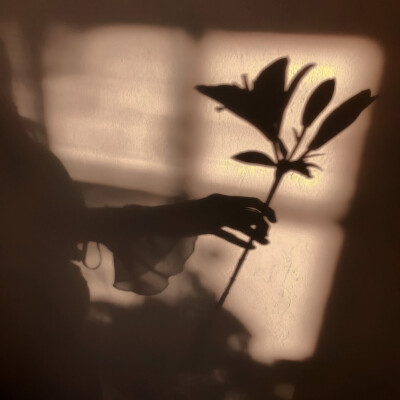 ♫*
Sing for you（为你而唱）