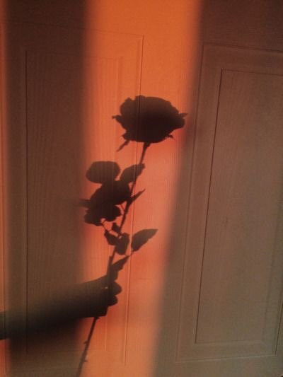 朋友圈背景图
.“沉浸黑暗中的那一束光，不是救赎，是错误和罪”