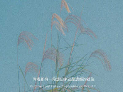 朋友圈背景图
.“沉浸黑暗中的那一束光，不是救赎，是错误和罪”