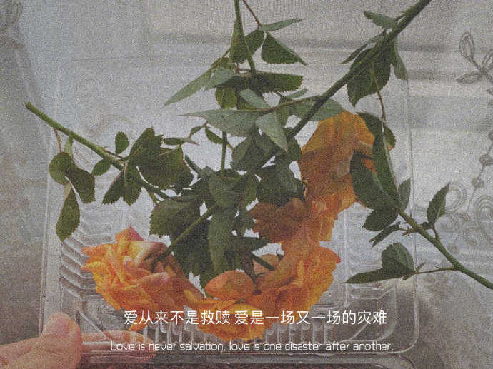 朋友圈背景图
.“沉浸黑暗中的那一束光，不是救赎，是错误和罪”