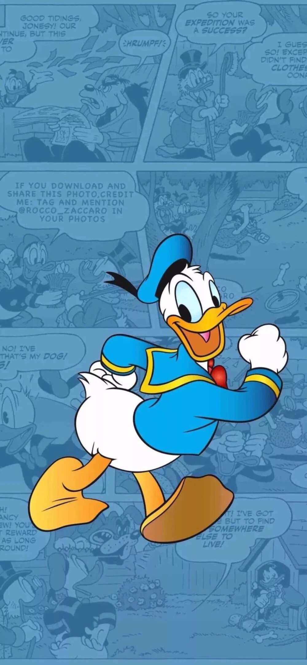 唐老鸭 Donald Duck