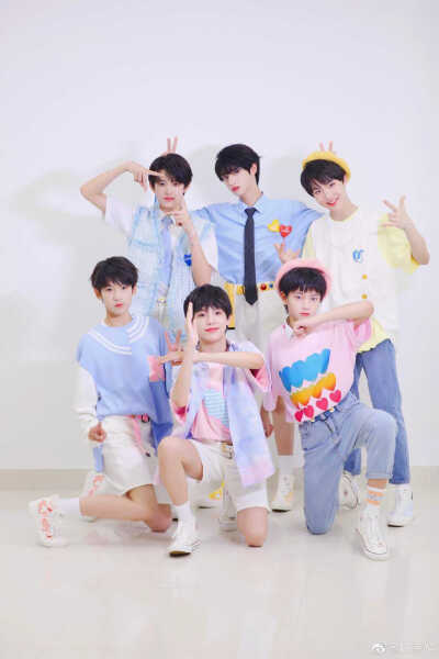 TF家族