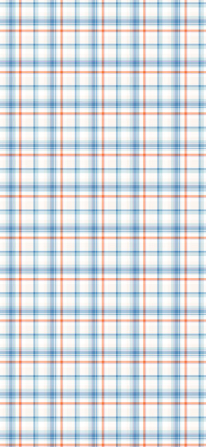 各种各样的格子