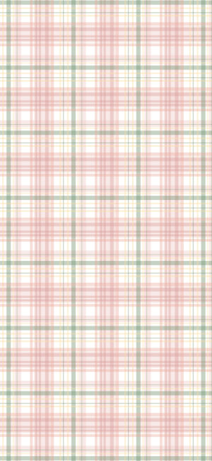 各种各样的格子