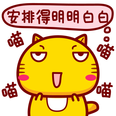 哈咪猫喵喵喵