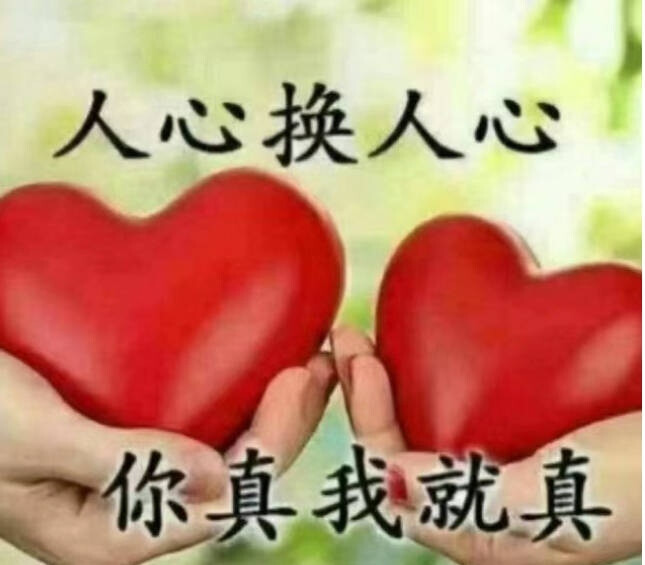 表情包
“人心换人心，你真我就真。”