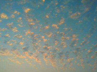 就像难以抗拒海风的风筝一样，静静的在脸上浮现出悲哀的笑容。