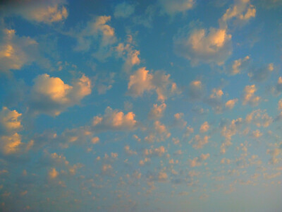 就像难以抗拒海风的风筝一样，静静的在脸上浮现出悲哀的笑容。