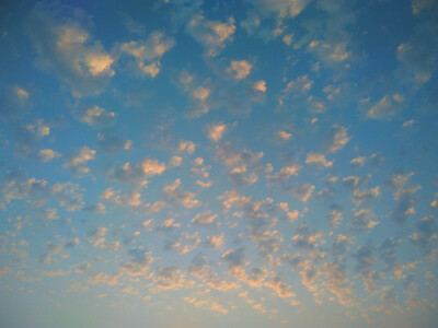 就像难以抗拒海风的风筝一样，静静的在脸上浮现出悲哀的笑容。