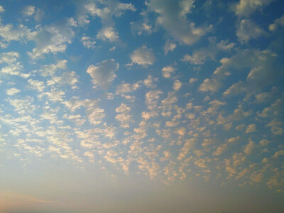 就像难以抗拒海风的风筝一样，静静的在脸上浮现出悲哀的笑容。