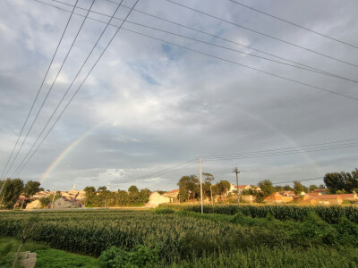 就像难以抗拒海风的风筝一样，静静的在脸上浮现出悲哀的笑容。