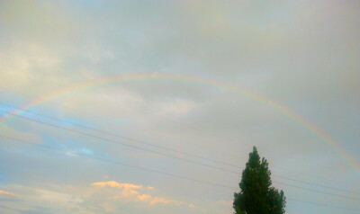 就像难以抗拒海风的风筝一样，静静的在脸上浮现出悲哀的笑容。