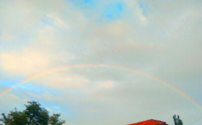 就像难以抗拒海风的风筝一样，静静的在脸上浮现出悲哀的笑容。
