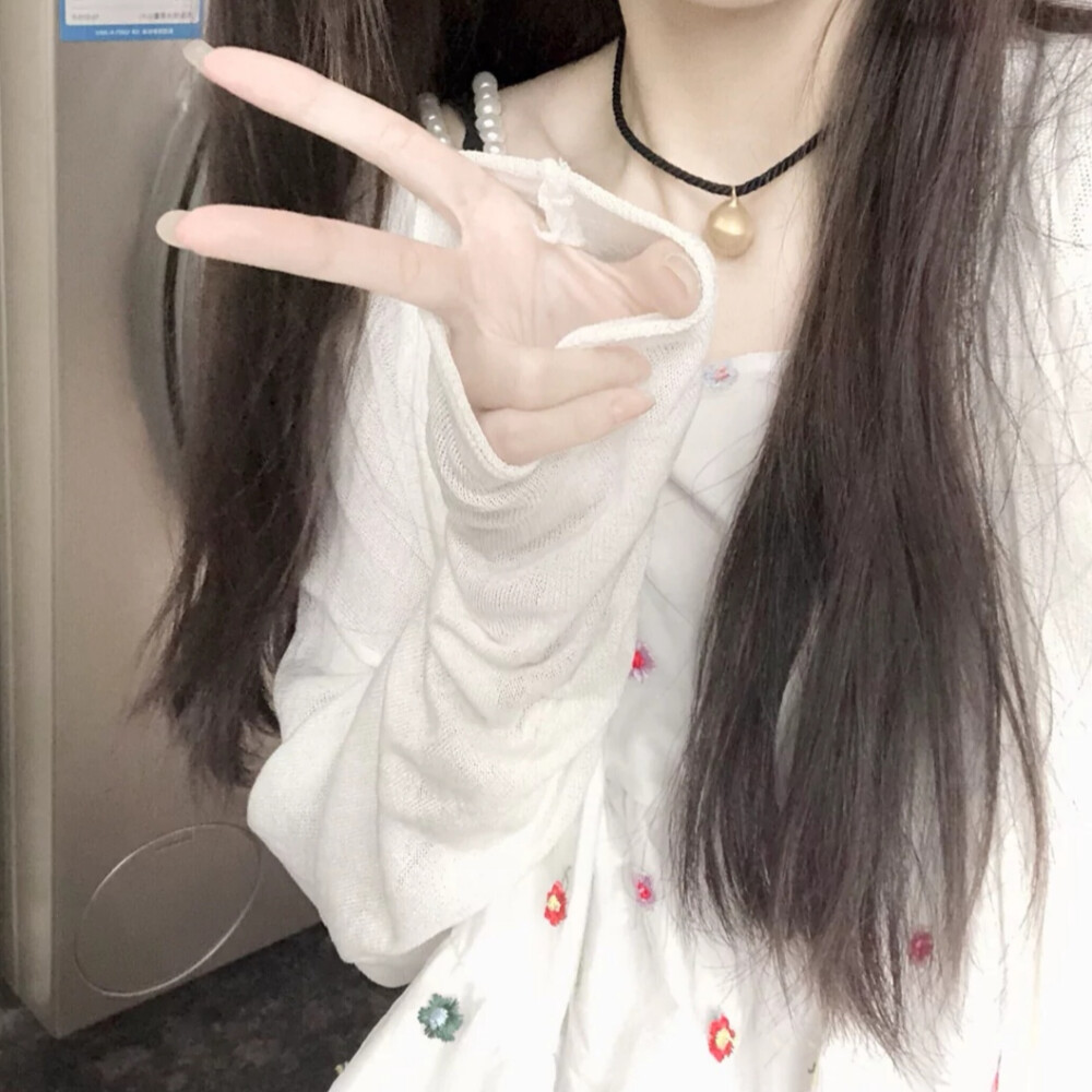 二传注明