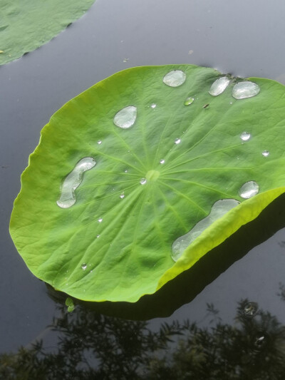 美，从细节发现