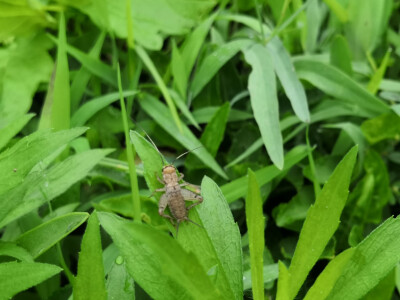 美，从细节发现