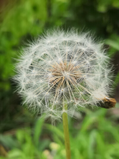 美，从细节发现