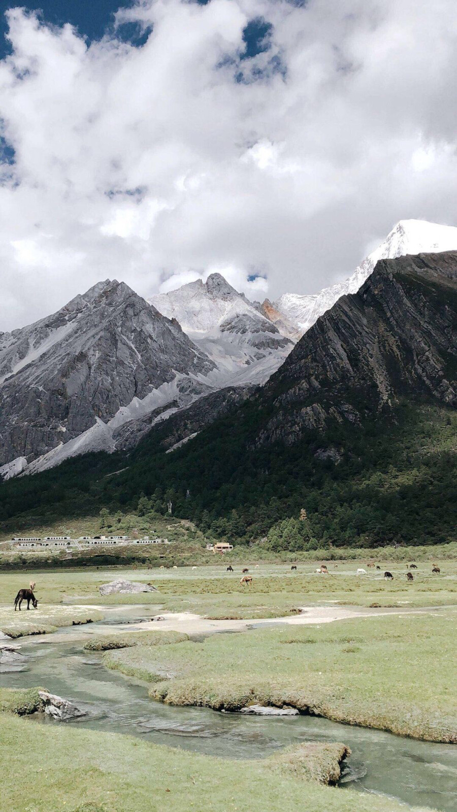 风景