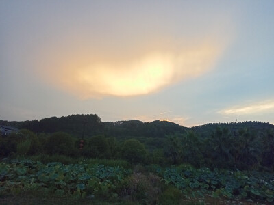 田野的火烧云。自然里真实的立体课本写照。才知道那一课。