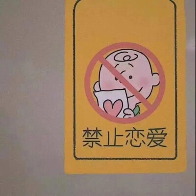 壁纸