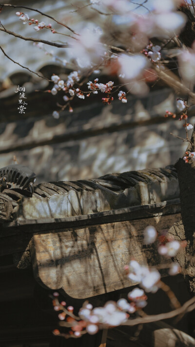 你给我写信时，通过你，我看到世间万物；如今少了你，我看到的世间万物，都觉着是从你那里窃取来的。
｜纪德《窄门》 ​​​
晚安.
摄影师/烟波里的棠