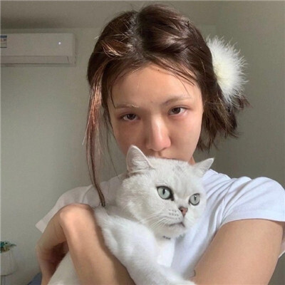 抱猫女头