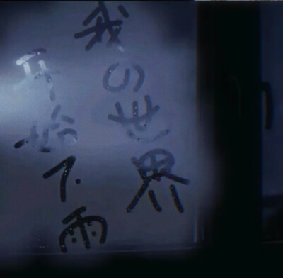 
20040830_jp / Komorebi（阳光 树叶 缝隙）