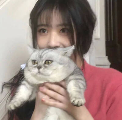 女生头像 抱猫