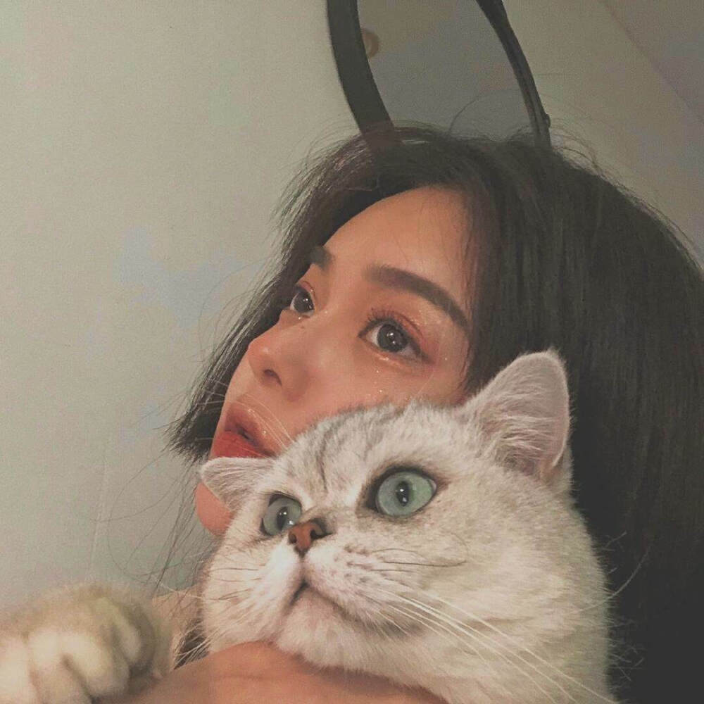 女生头像 抱猫