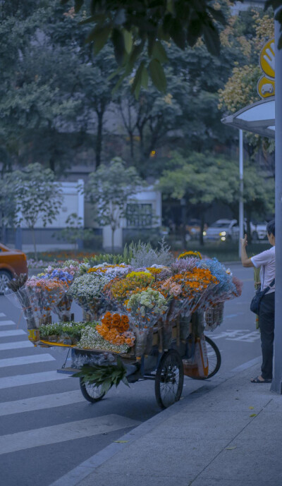 壁纸 花系列