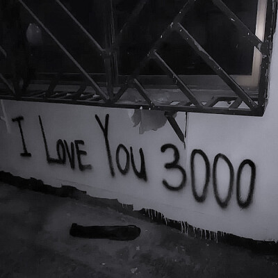 I Love You 3000
