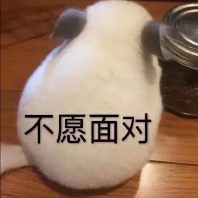 表情包