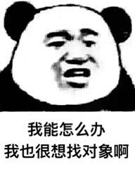 表情包