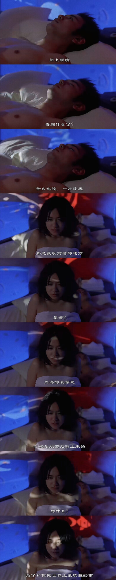 Jose与虎与鱼们