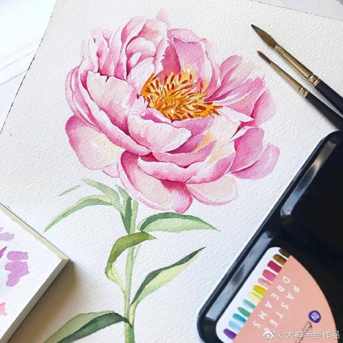 水彩花卉~enya_todd
