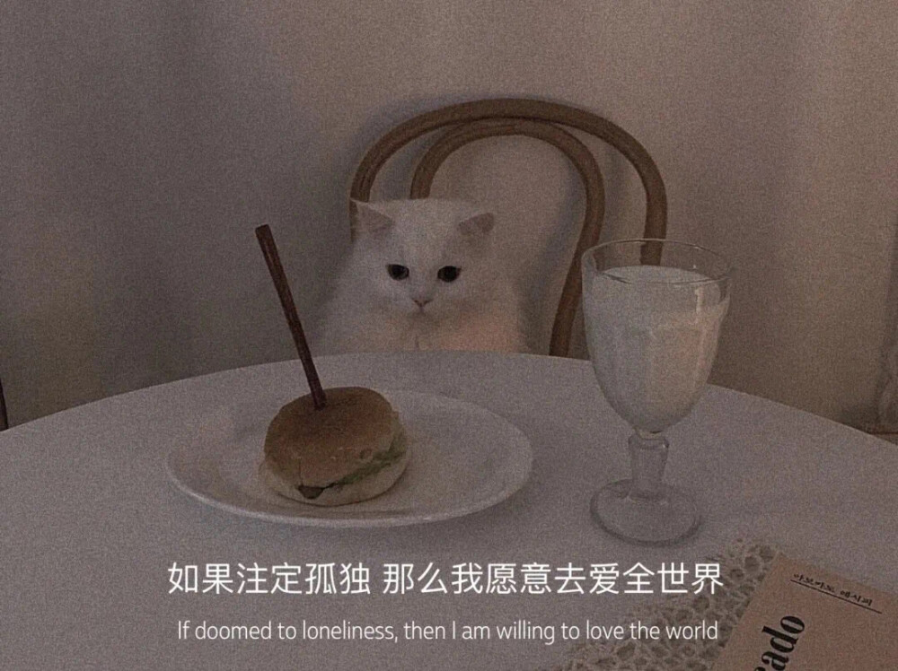 不纠烂事 不缠烂人