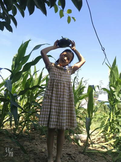 夏日的村姑
与土生土长的南瓜