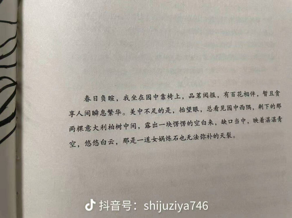 相夫教子和友谊长存这两个听上去美满的词，我放在妈妈身上总觉得是有些许遗憾难平