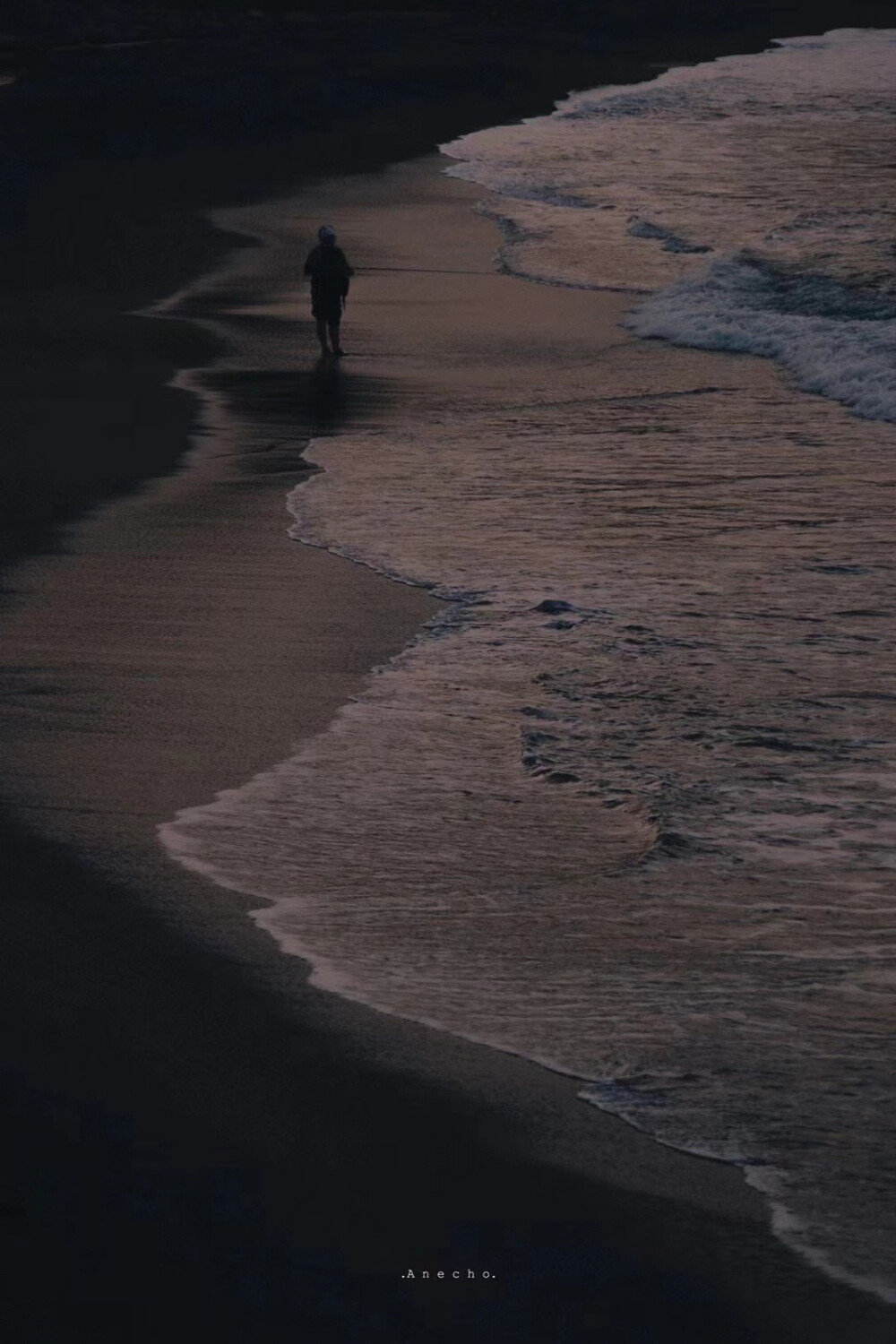 爱意随风起 浪漫至死不渝