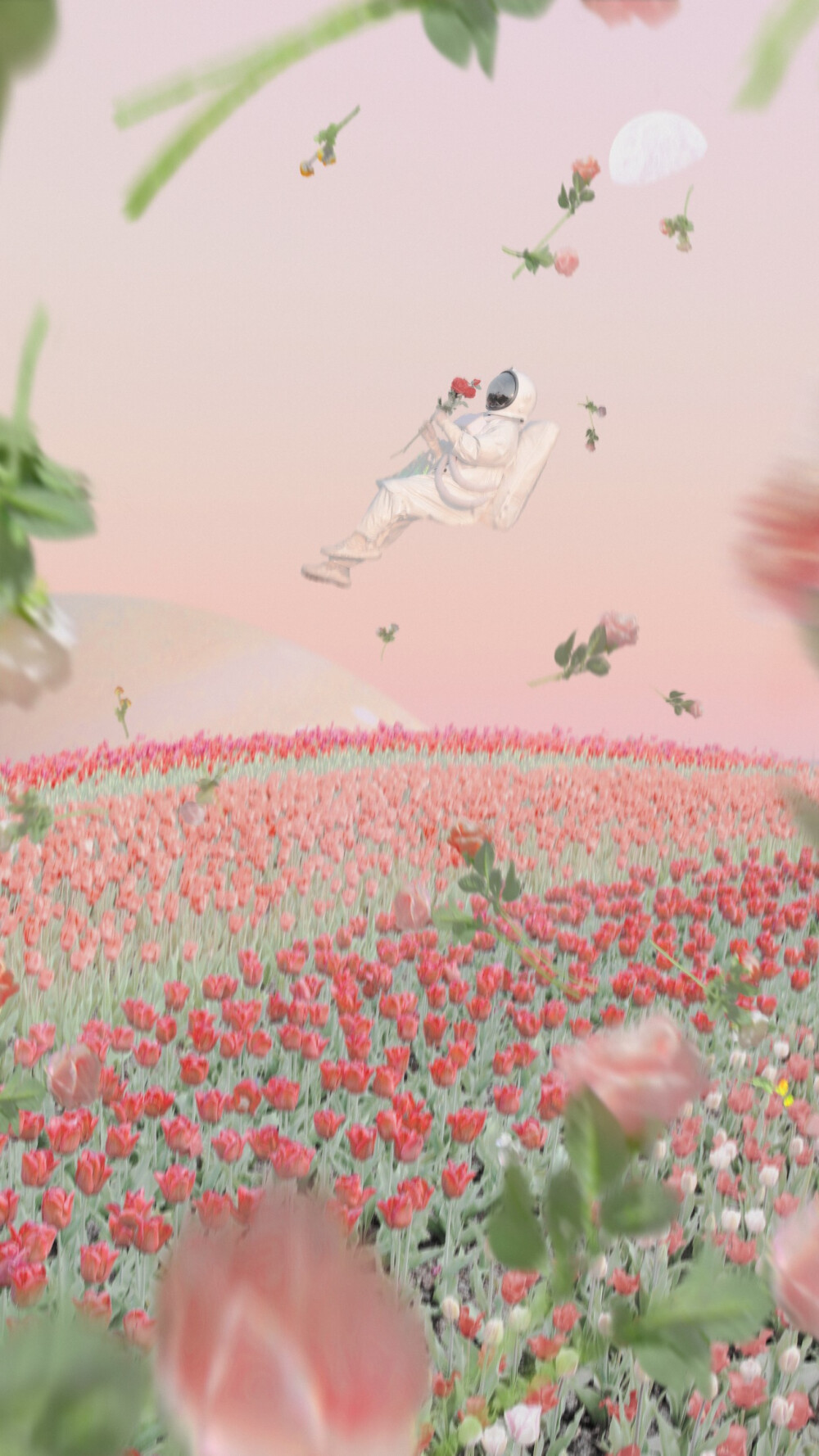 cr 尼脑子瓦特啦