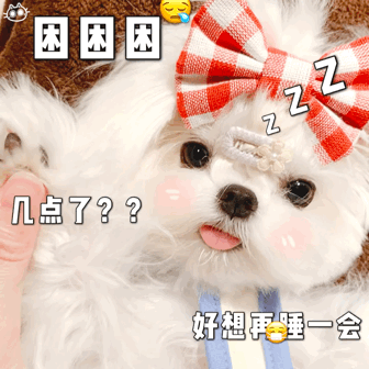 狗狗表情包☆自制